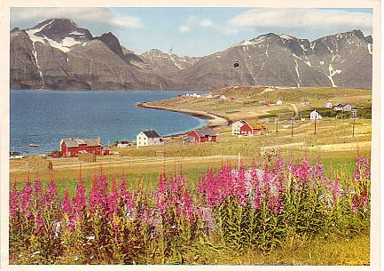 Djupvik in Kåfjord, Troms county