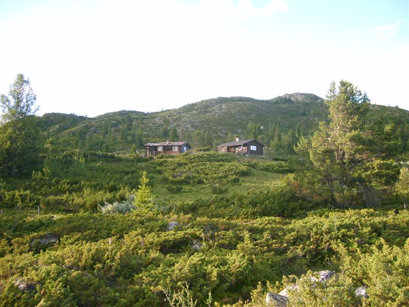 Tullutsætra in Sel municipality